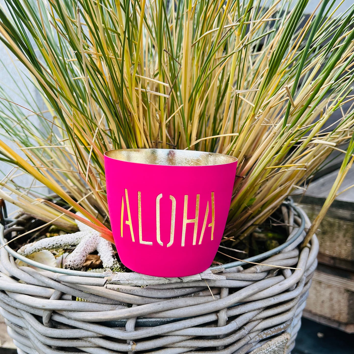 Windlicht Aloha pink