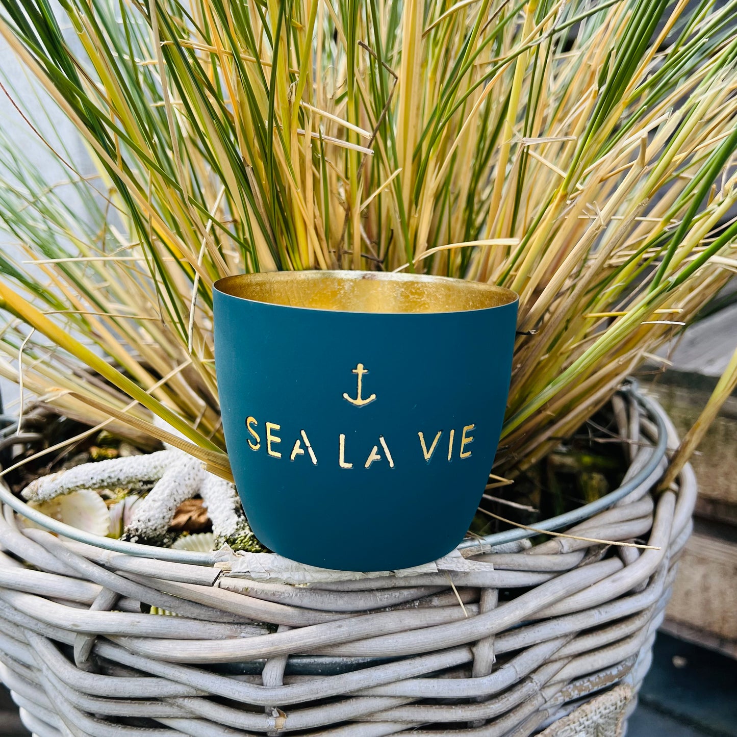 Windlicht sea la vie petrol